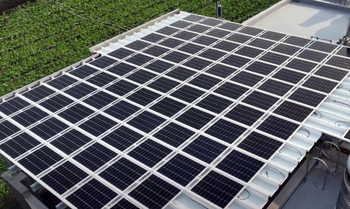 LEYU�پWSunSteel����˰������p���Y�����������Cеؓ�d���ȼ�����ͺ�����ɏV���\���ڶ�Ԫ����