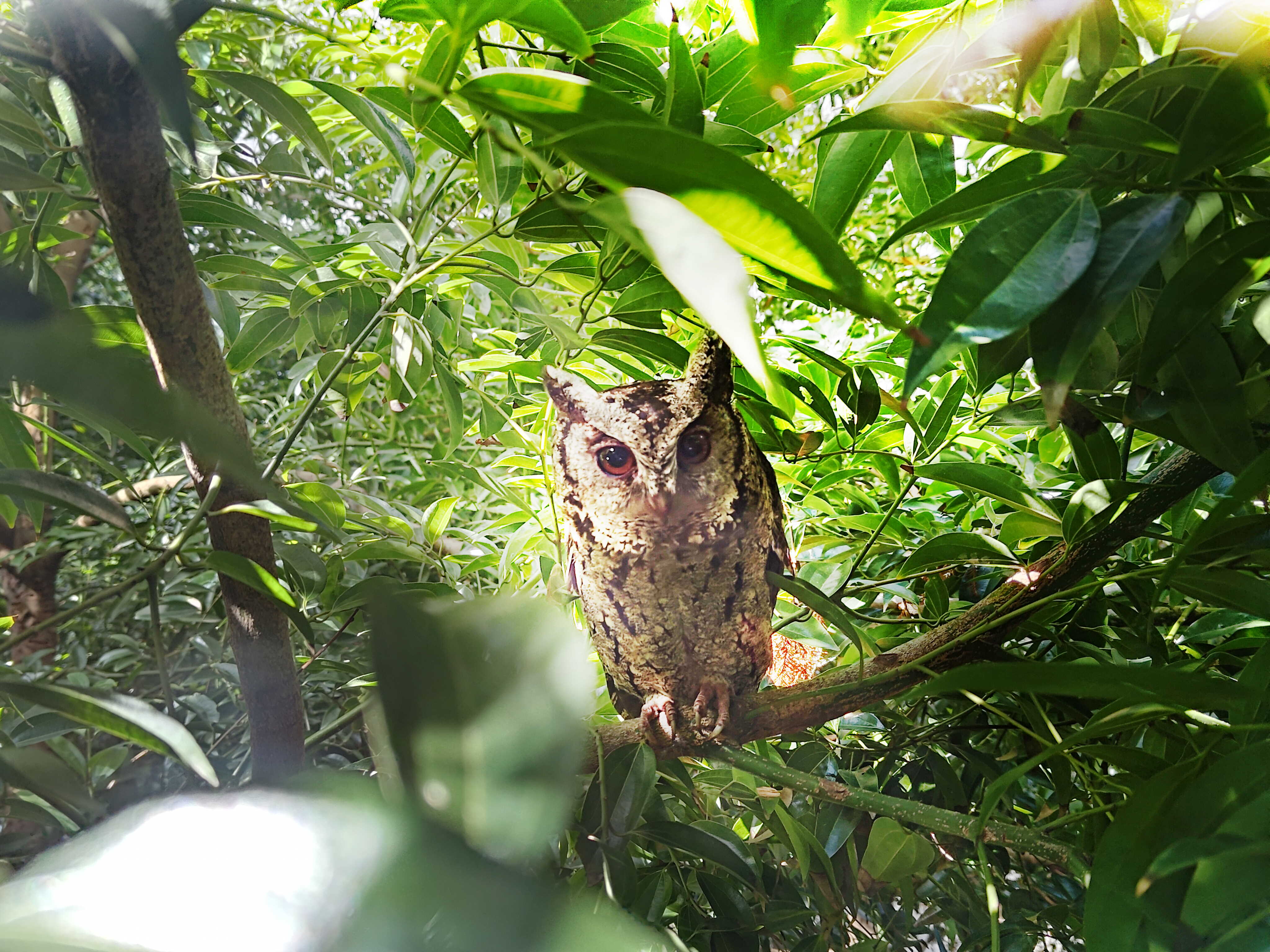 LEYU�پW�����ᳫ����G���16���ԁ���ȫ����S�^ֲ������f������͸��S�^��ľεȻ�������q��ɭ�ֹ��S���ɞ��S������ė�Ϣ��